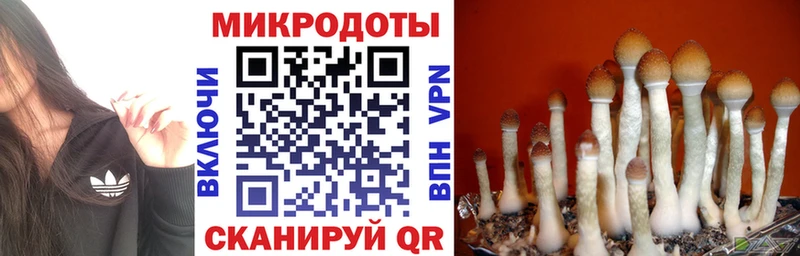 Псилоцибиновые грибы Cubensis  Оха 